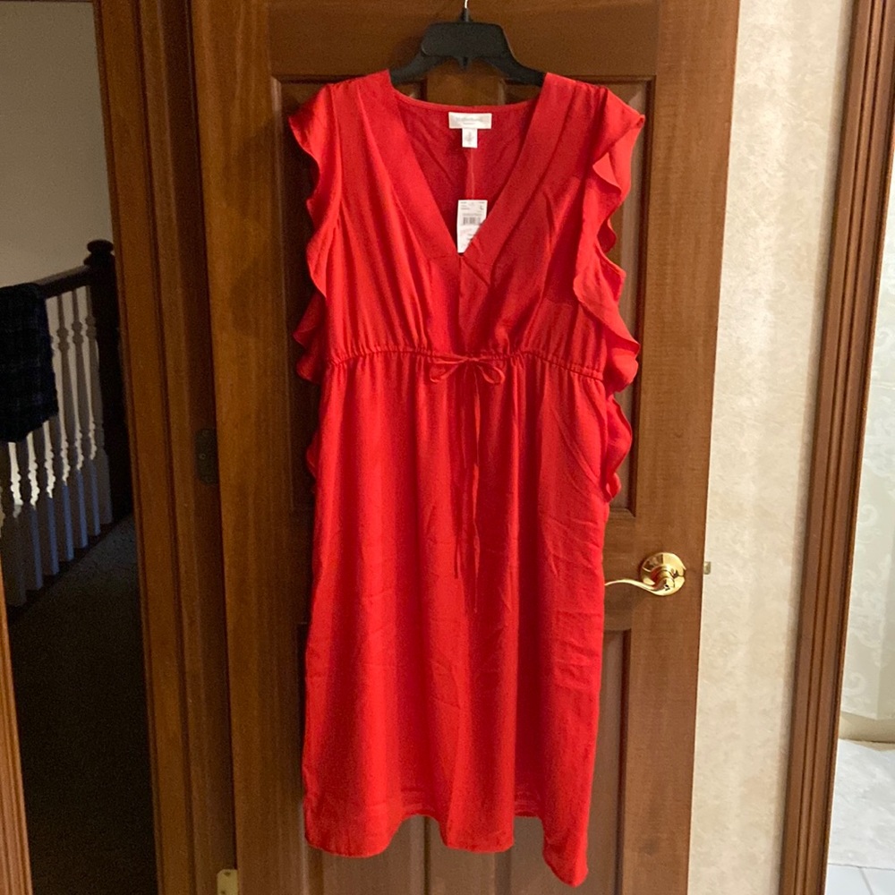 A Pea in the Pod 🛍️ 🤰🏼NWT Red Silky Dress, Size Large